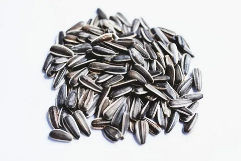 تصویر 3 از قیمت خرید تخمه دور سفید عمده با فروش ویژه